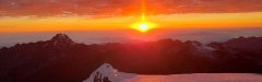 20190611_065054.jpg
