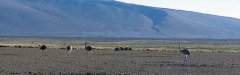 20160304_172032.jpg
